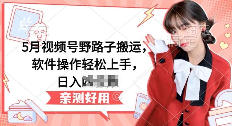 5月视频号野路子搬运，软件操作轻松上手，日入三位数【揭秘】-179创客网