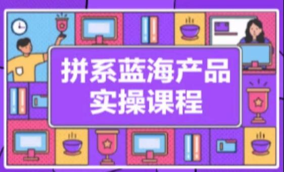 拼系冷门蓝海产品实操课程，从注册店铺到选品上架到流量维护环环相扣-179创客网