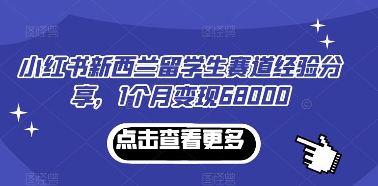小红书新西兰留学生赛道经验分享，1个月变现68000【揭秘】-网创资源