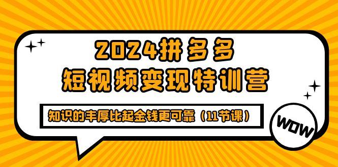 (9817期)2024拼多多短视频变现特训营，知识的丰厚比起金钱更可靠(11节课)-网创资源