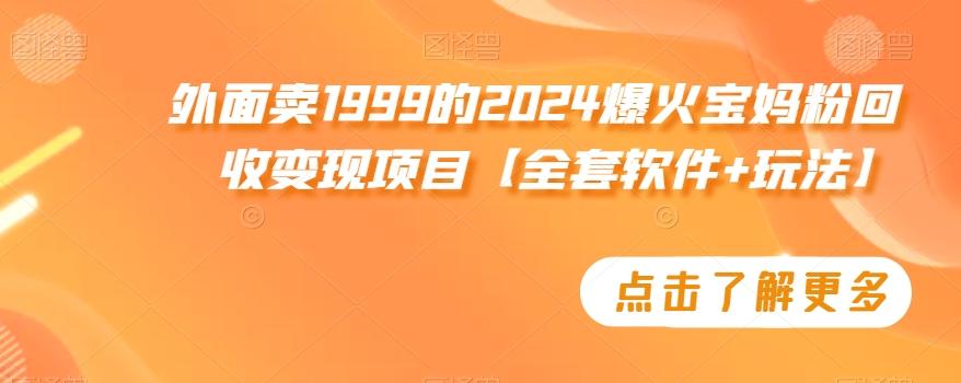外面卖1999的2024爆火宝妈粉回收变现项目【全套软件+玩法】【揭秘】-179创客网