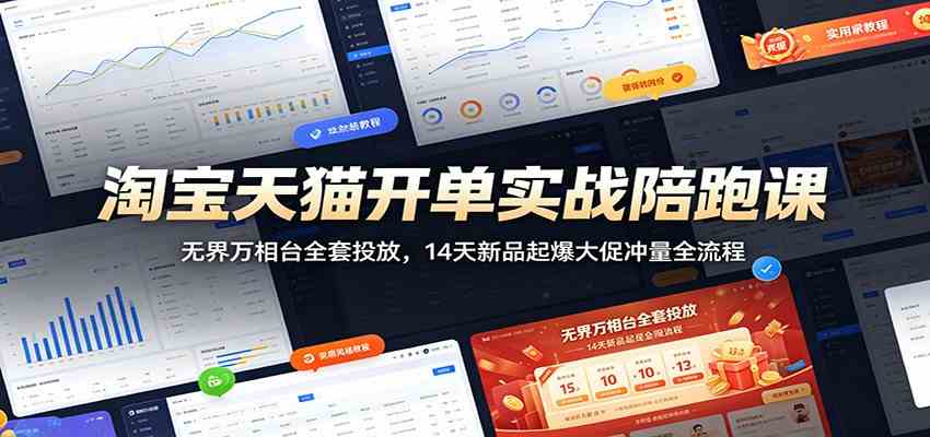 淘宝天猫开单实战陪跑课：无界万相台全套投放，14天新品起爆大促冲量全流程-179创客网