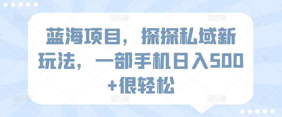 蓝海项目，探探私域新玩法，一部手机日入500+很轻松【揭秘】-179创客网
