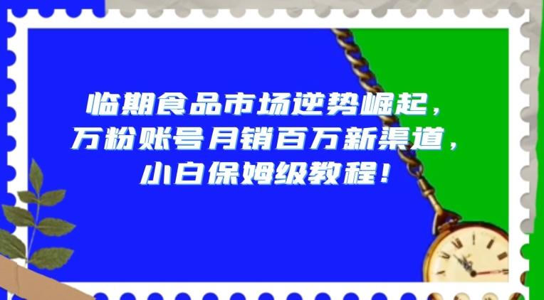 临期食品市场逆势崛起，万粉账号月销百万新渠道，小白保姆级教程【揭秘】-179创客网