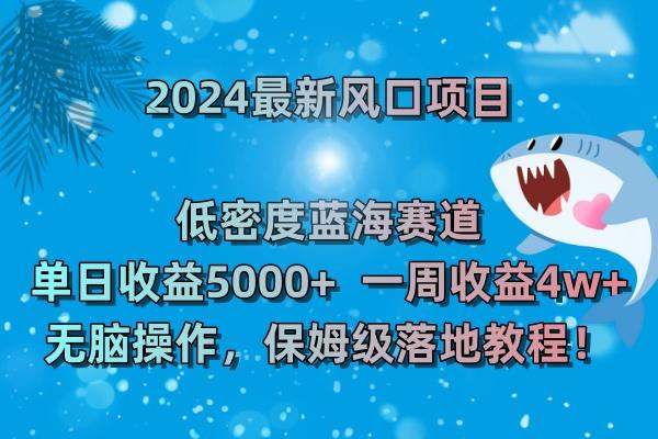 (8545期)2024最新风口项目 低密度蓝海赛道，日收益5000+周收益4w+ 无脑操作，保…-179创客网