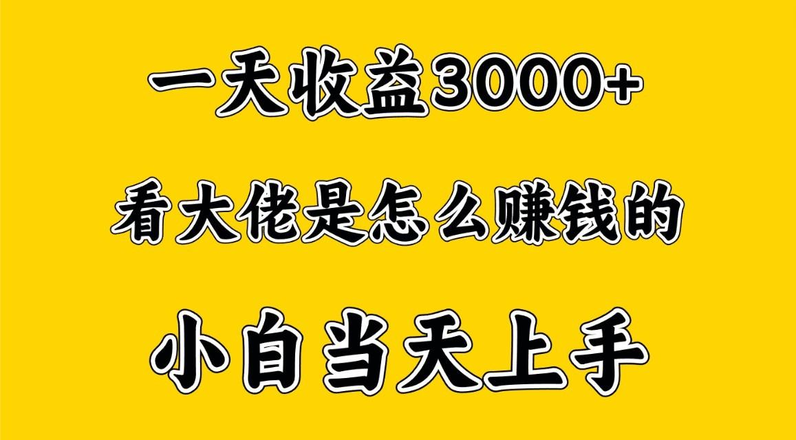 一天赚3000多，大佬是这样赚到钱的，小白当天上手，穷人翻身项目-179创客网