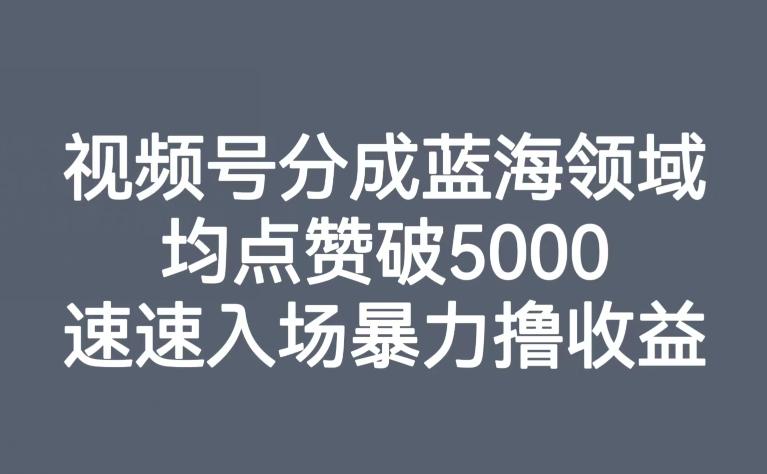视频号分成蓝海领域，均点赞破5000，速速入场暴力撸收益-179创客网