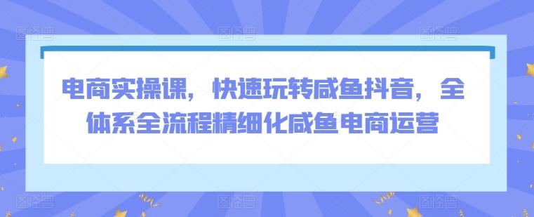 电商实操课，快速玩转咸鱼抖音，全体系全流程精细化咸鱼电商运营-179创客网
