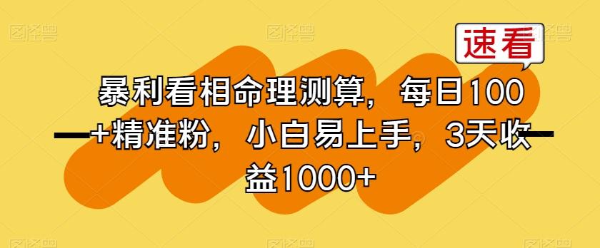 暴利看相命理测算，每日100+精准粉，小白易上手，3天收益1000+【揭秘】-179创客网