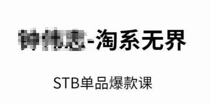 淘系无界STB单品爆款课(2024)，付费带动免费的核心逻辑，万相台无界关键词推广/精准人群的核心-179创客网