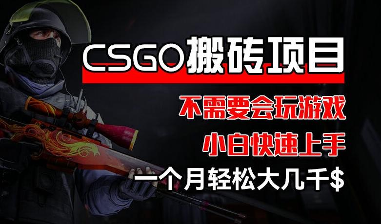 CSGO 装备搬砖项目，操作简单，不需要会玩游戏，小白也能快速上手，一个月轻松大几千【揭秘】-179创客网