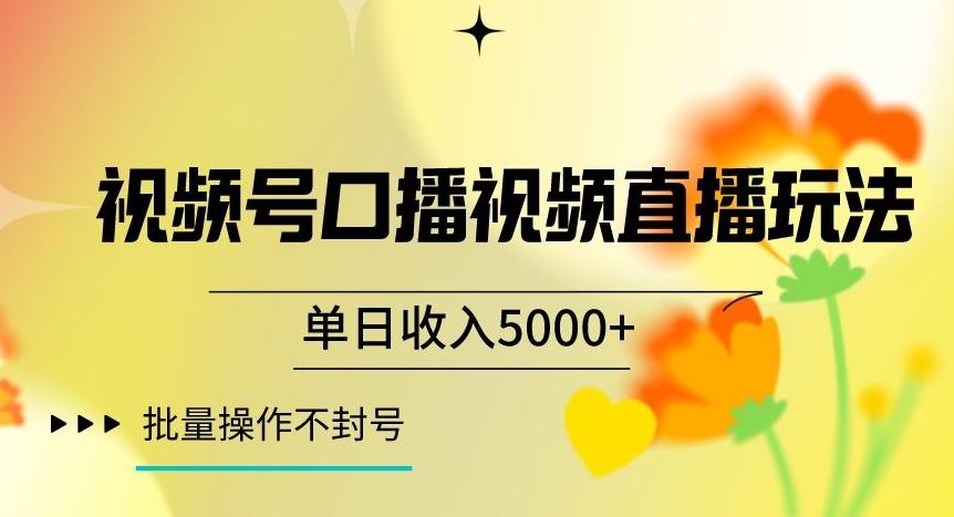 视频号囗播视频直播玩法，单日收入5000+，批量操作不封号【揭秘】-179创客网
