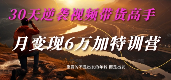 30天逆袭视频带货高手，单月变现6万加特训营-麦子甜-179创客网
