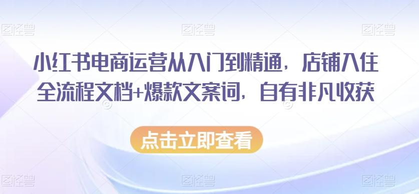 小红书电商运营从入门到精通，店铺入住全流程文档+爆款文案词，自有非凡收获-179创客网