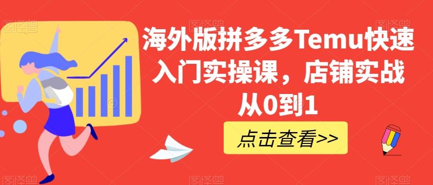 海外版拼多多Temu快速入门实操课，店铺实战从0到1-179创客网