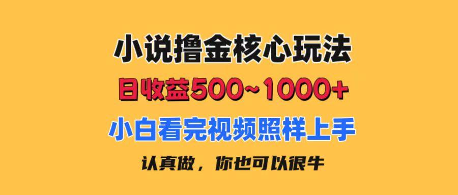 小说撸金核心玩法，日收益500-1000+，小白看完照样上手，0成本有手就行-179创客网