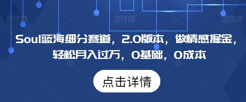 Soul蓝海细分赛道，2.0版本，做情感掘金，轻松月入过万，0基础，0成本-179创客网