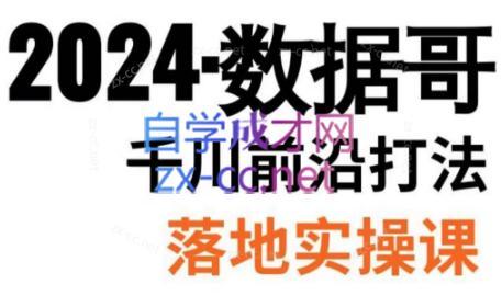 数据哥·2024年千川前沿打法落地实操课-179创客网