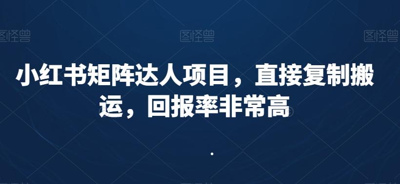 小红书矩阵达人项目，直接复制搬运，回报率非常高-179创客网