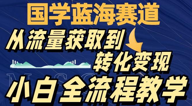 国学蓝海赛道，从流量获取，到转化变现，全流程教学-179创客网