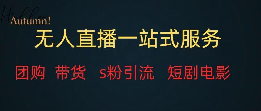 无人直播一站式服务（教程以及变现方式）-179创客网