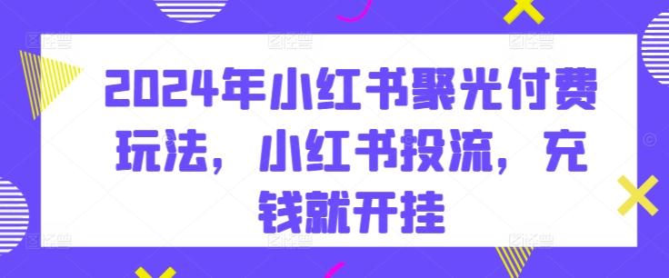 2024年小红书聚光付费玩法，小红书投流，充钱就开挂-179创客网