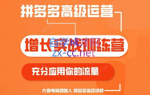 大麦老师·拼多多单品爆款打造课程(更新6月)-179创客网