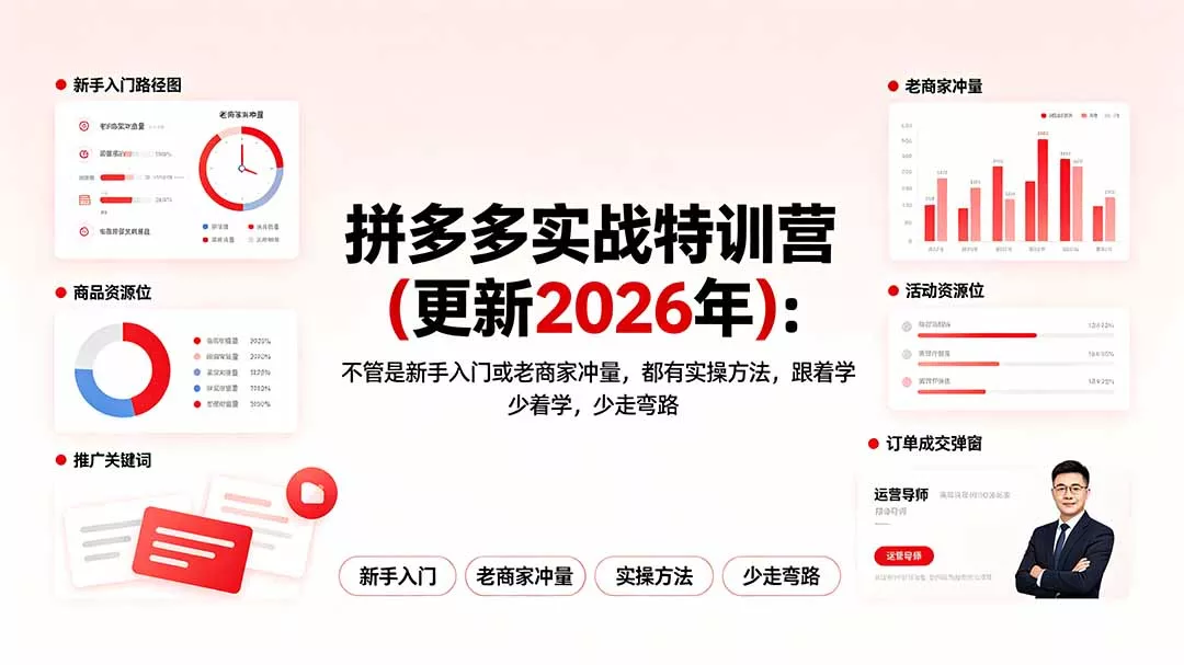 拼多多实战特训营(更新2026年-179创客网