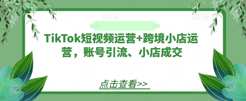 TikTok短视频运营+跨境小店运营，账号引流、小店成交-179创客网