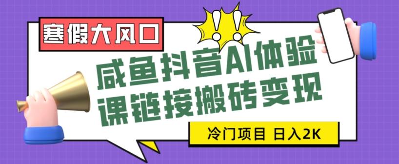 寒假大风口咸鱼抖音AI体验课链接搬砖变现，全网首发冷门项目，小白可日入2K+【揭秘】-179创客网