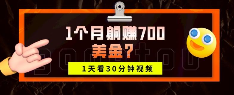 1天看30分钟视频，1个月躺赚700美金？-179创客网