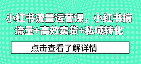 小红书流量运营课，小红书搞流量+高效卖货+私域转化-179创客网