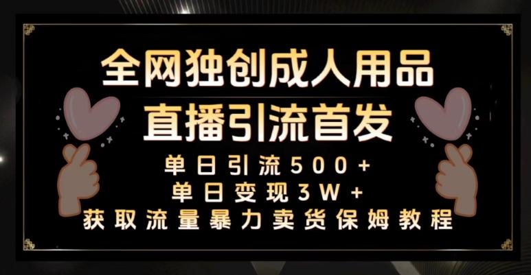 全网独创真人主播+无人直播单日引流500+，橙人用品暴力卖货单日变现3W+保姆似教学2.0【揭秘】-179创客网
