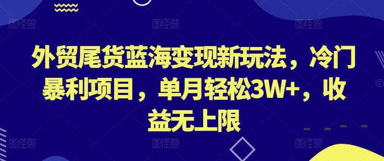 外贸尾货蓝海变现新玩法，冷门暴利项目，单月轻松3W+，收益无上限【揭秘】-179创客网