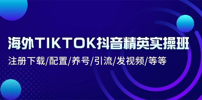 海外TIKTOK抖音精英实操班：注册下载/配置/养号/引流/发视频/等等-179创客网