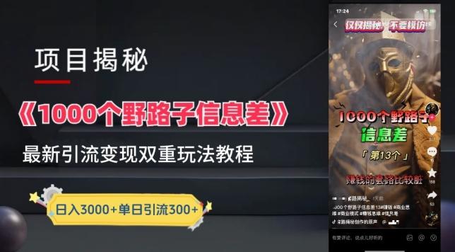 一千个野路子信息差最新玩法教程-变现+引流的玩法具体拆解【揭秘】-179创客网