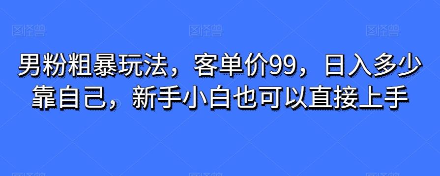 男粉粗暴玩法，客单价99，日入多少靠自己，新手小白也可以直接上手-179创客网