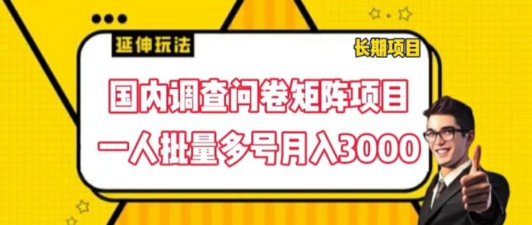 国内调查问卷矩阵项目，一人批量多号月入3000【揭秘】-179创客网