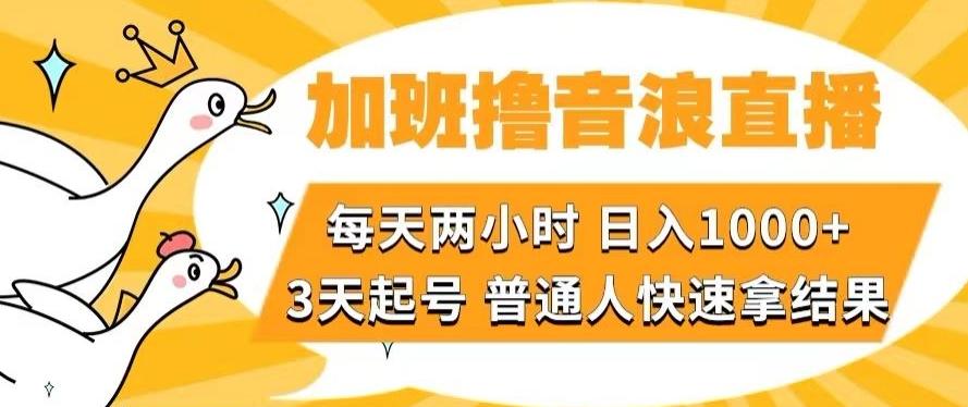 加班撸音浪直播，每天两小时，日入1000+，直播话术才3句，3天起号，普通人快速拿结果【揭秘】-179创客网