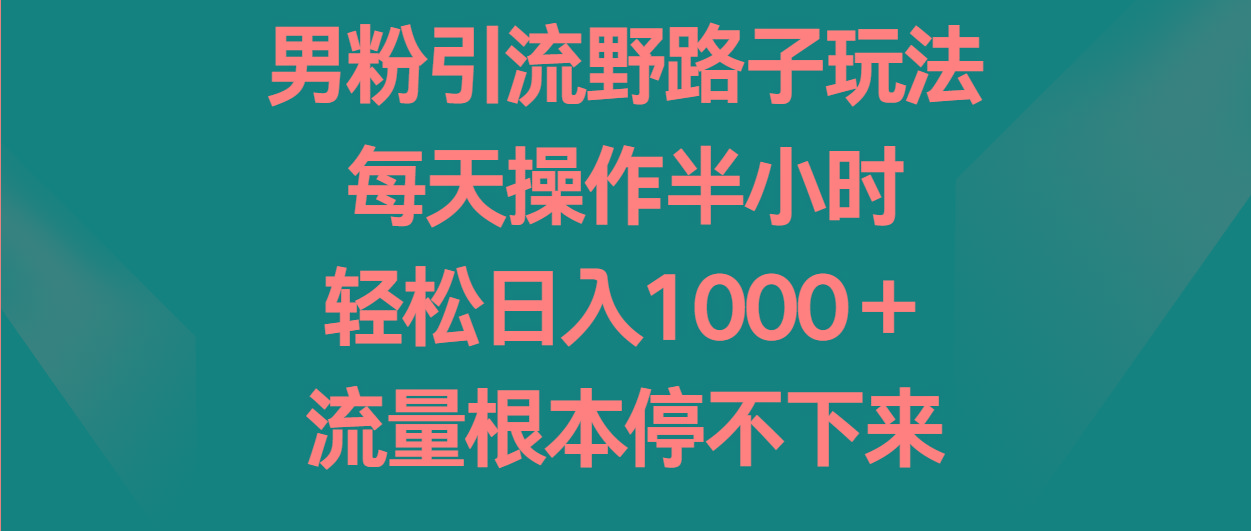 男粉引流野路子玩法，每天操作半小时轻松日入1000＋，流量根本停不下来-网创资源