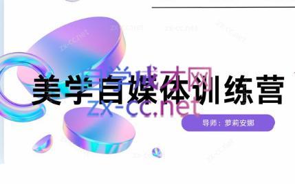 安娜·美学自媒体IP系统课-179创客网