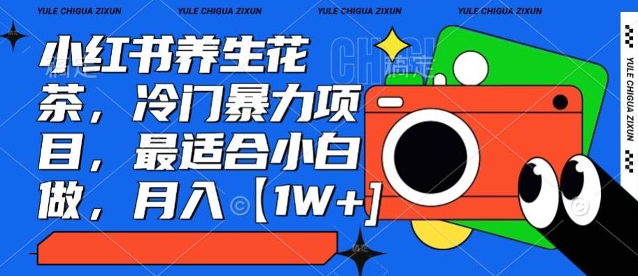 小红书养生花茶，冷门暴力项目，最适合小白做，月入【1W+】-179创客网