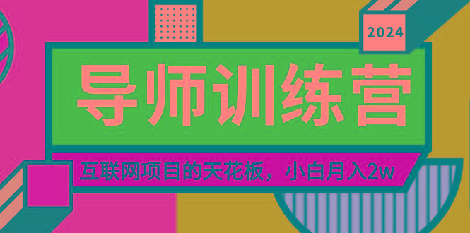 《导师训练营》精准粉丝引流的天花板，小白月入2w-网创资源