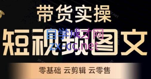 鑫哥·2024零基础短视频带货实操营-179创客网
