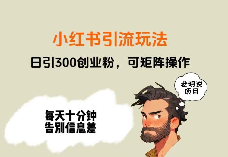 靠小红书视频日印300粉，两分钟一个视频轻松矩阵-179创客网