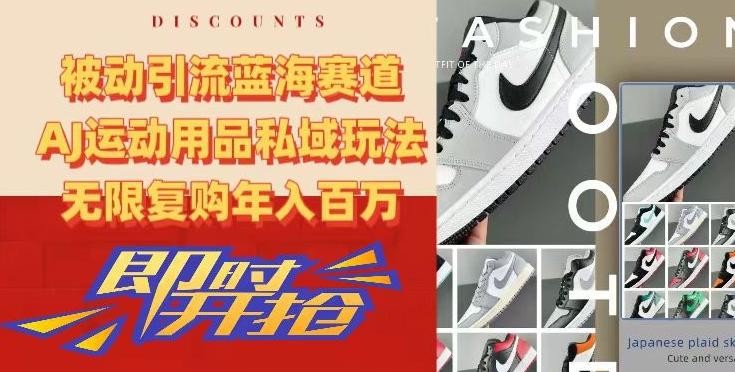 被动引流蓝海赛道，AJ运动用品私域玩法，无限复购年入百万【揭秘】-179创客网