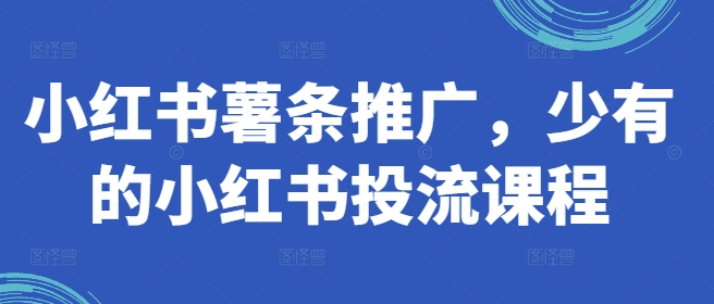 小红书薯条推广，少有的小红书投流课程-179创客网