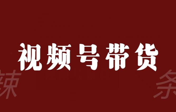 视频号带货联盟，赚信息差的带货钱，只需手机随时随地都可以做！-179创客网