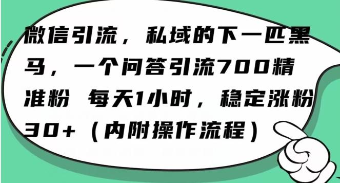 怎么搞精准创业粉？微信新赛道，每天一小时，利用Ai一个问答日引100精准粉-179创客网