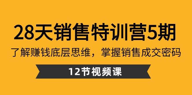 28天销售特训营5期：了解赚钱底层思维，掌握销售成交密码（12节课）-179创客网